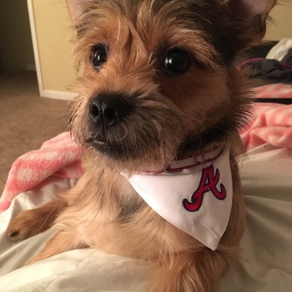 Stephanie - Picture 4 of 5